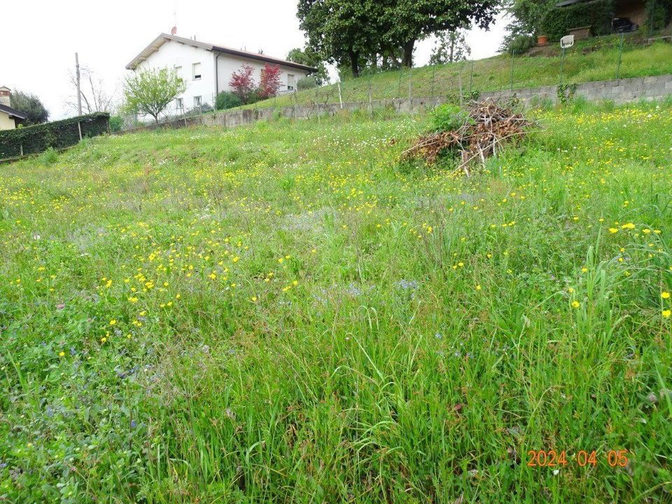 Helårsgrund i Oggiono, Lecco - foto 5