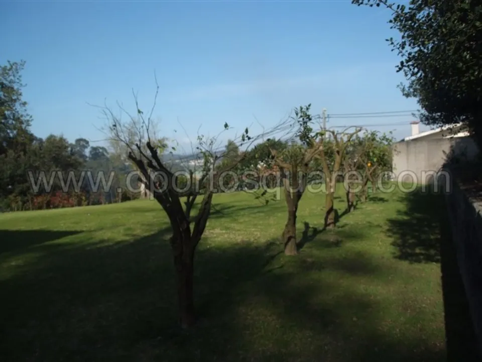 Farm i Barcelos, Braga - foto 3