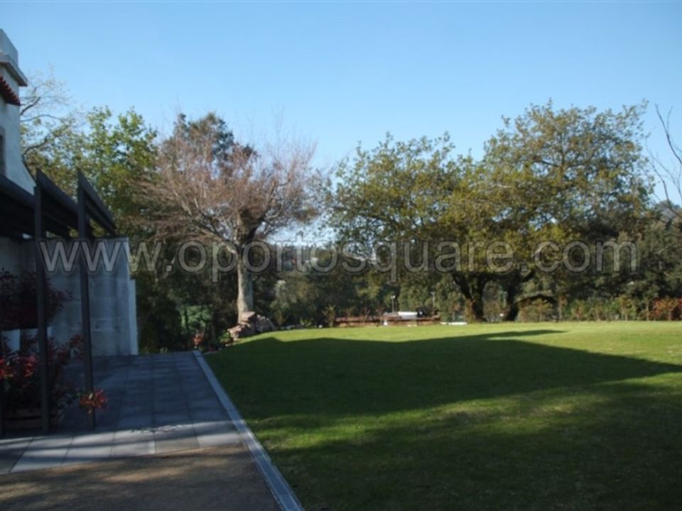 Farm i Barcelos, Braga - foto 4