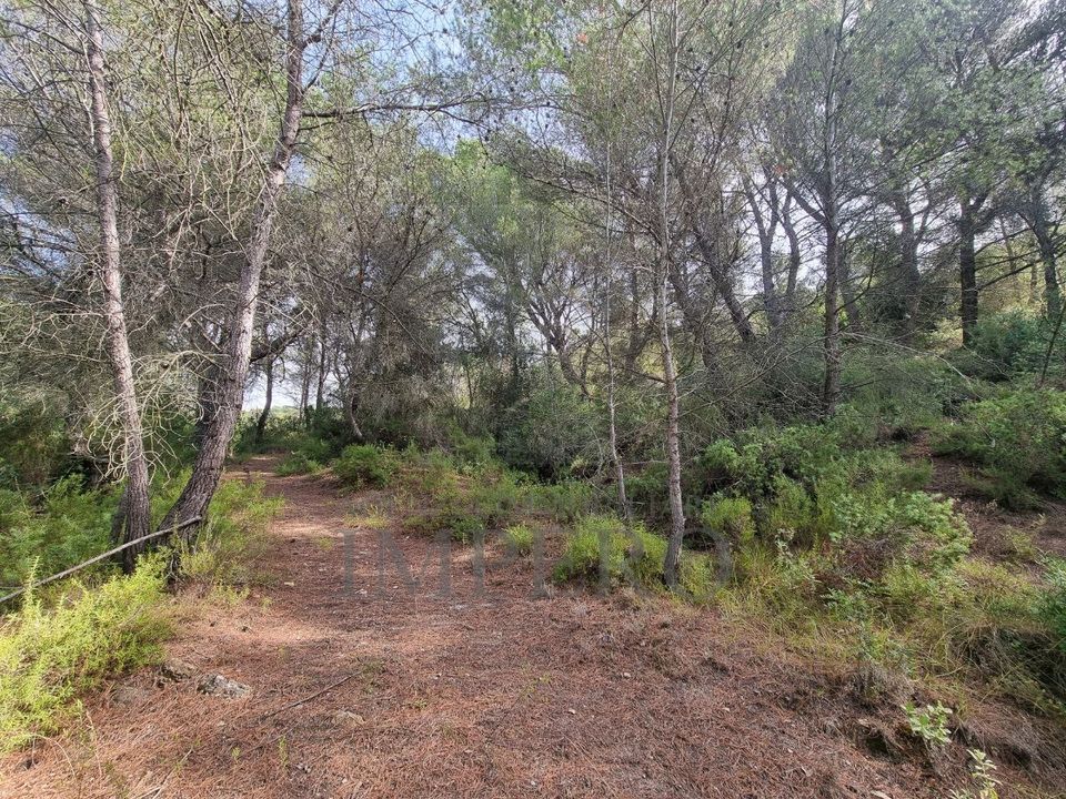 Villa i Ventimiglia, Imperia - foto 2