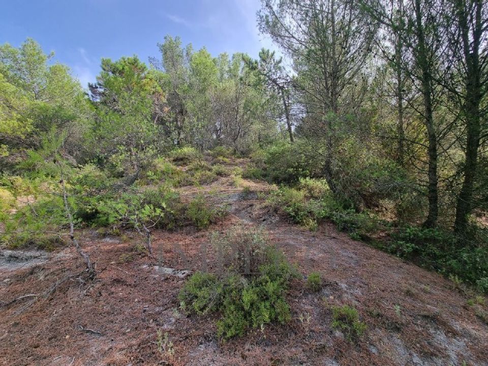 Villa i Ventimiglia, Imperia - foto 3