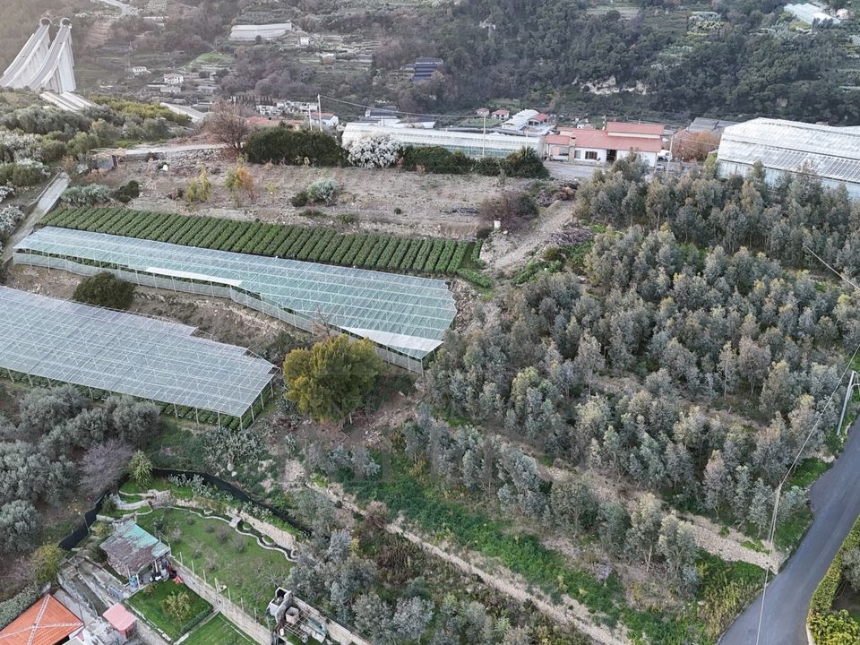 Erhvervsejendom i Bordighera, Imperia - foto 2