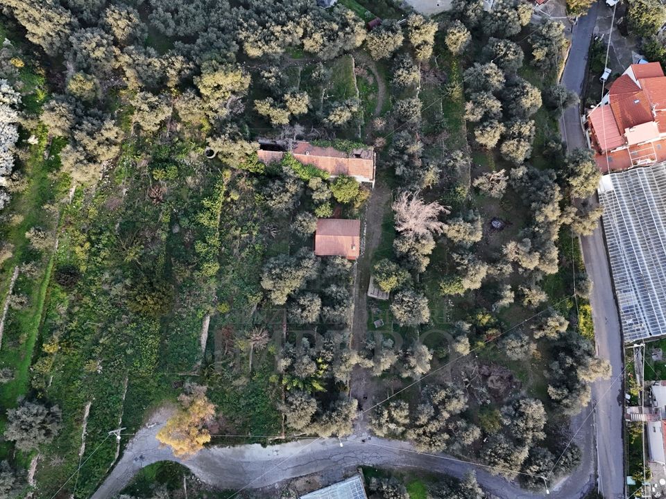 Erhvervsejendom i Bordighera, Imperia - foto 2