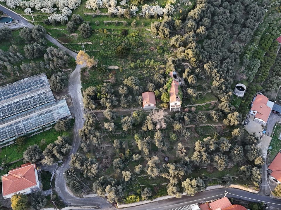 Erhvervsejendom i Bordighera, Imperia - foto 3