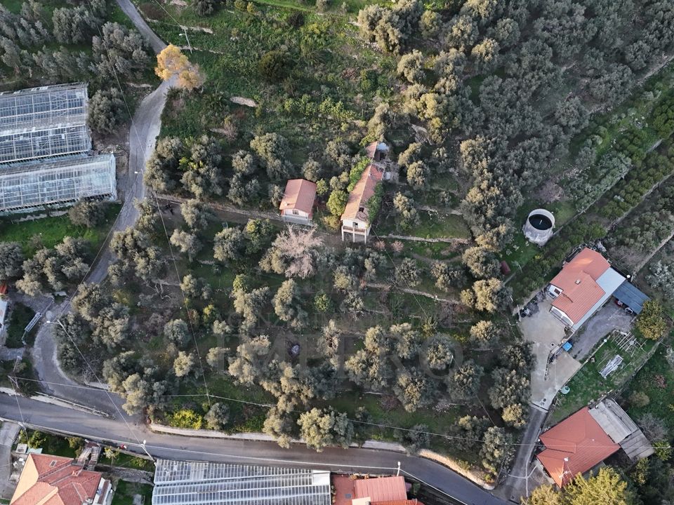 Erhvervsejendom i Bordighera, Imperia - foto 4