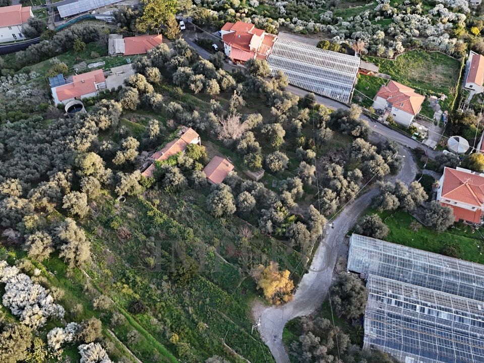 Erhvervsejendom i Bordighera, Imperia - foto 5