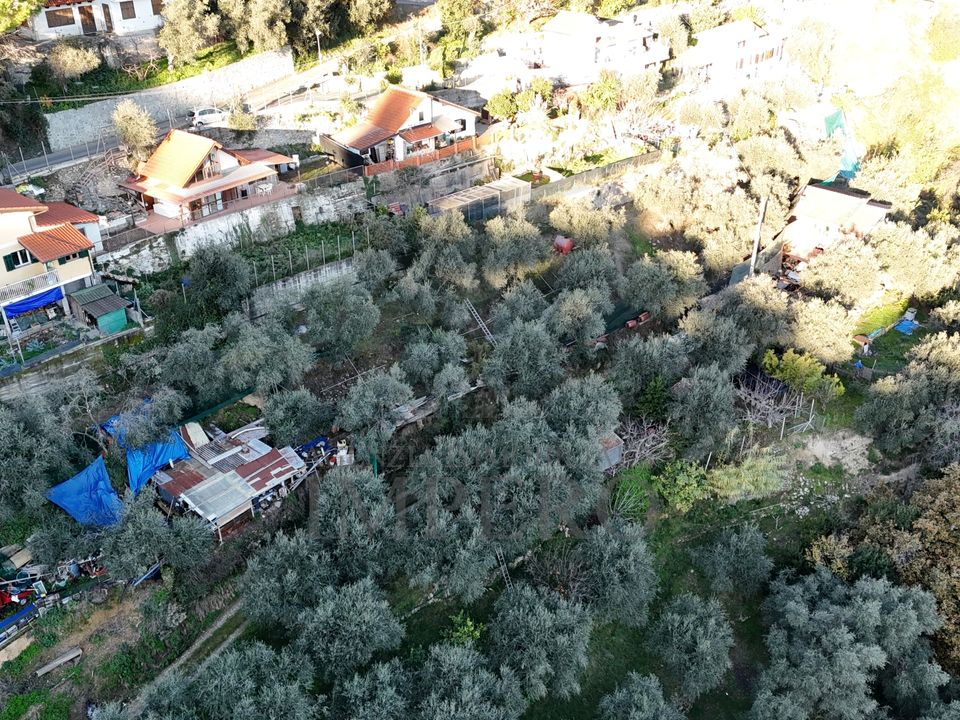 Erhvervsejendom i Camporosso, Imperia - foto 1