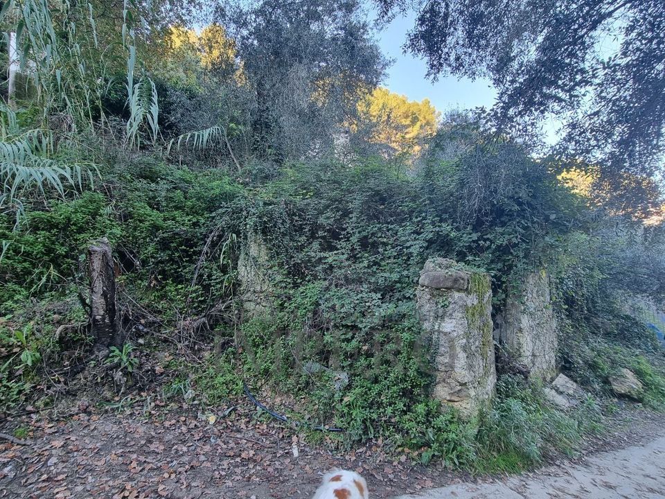 Erhvervsejendom i Camporosso, Imperia - foto 2