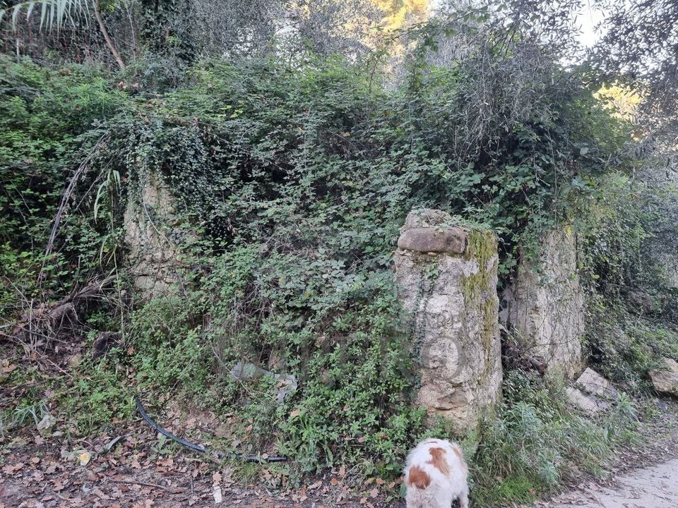 Erhvervsejendom i Camporosso, Imperia - foto 3
