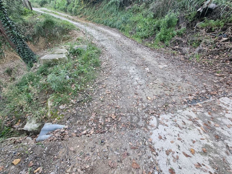 Erhvervsejendom i Camporosso, Imperia - foto 5