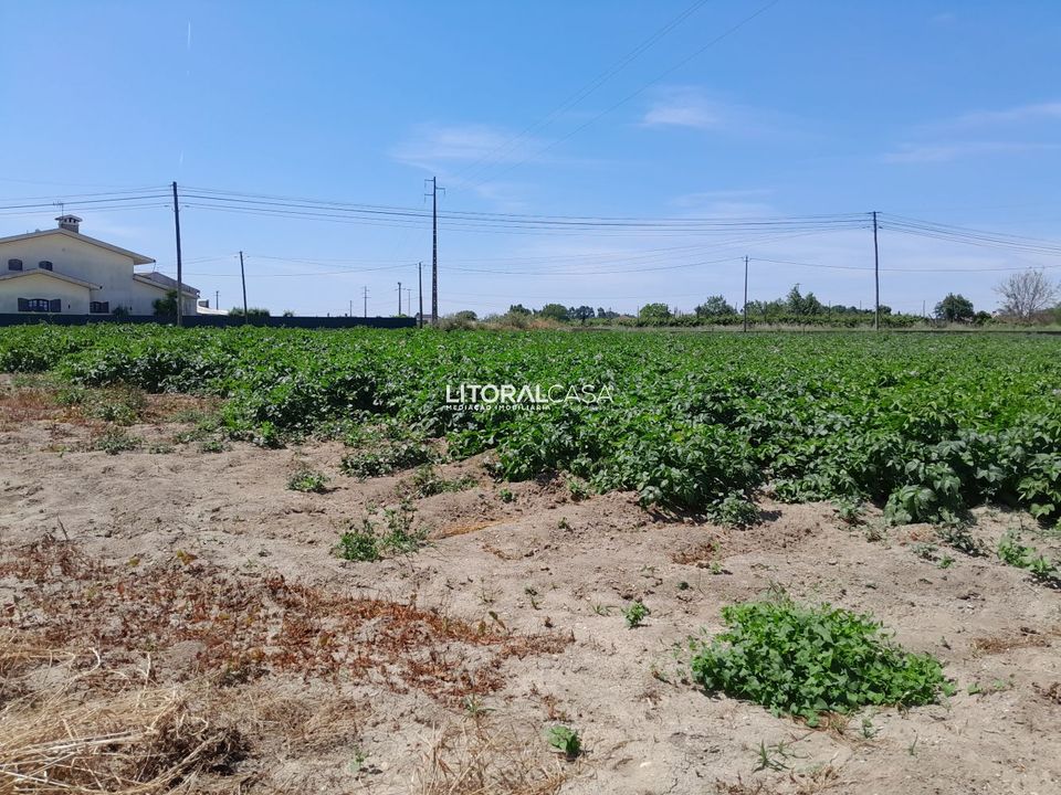 Helårsgrund i Oliveira do Bairro, Aveiro - foto 4