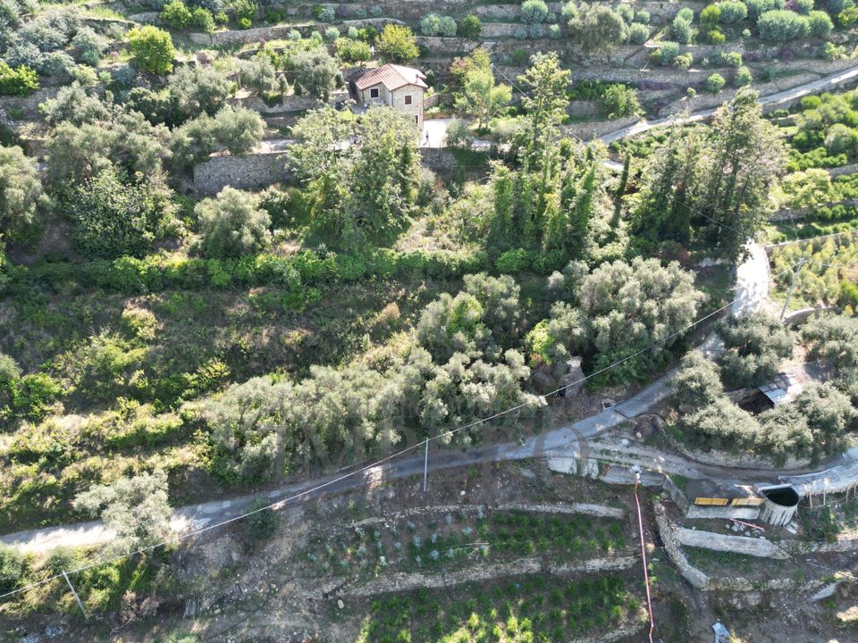 Erhvervsejendom i Bordighera, Imperia - foto 1
