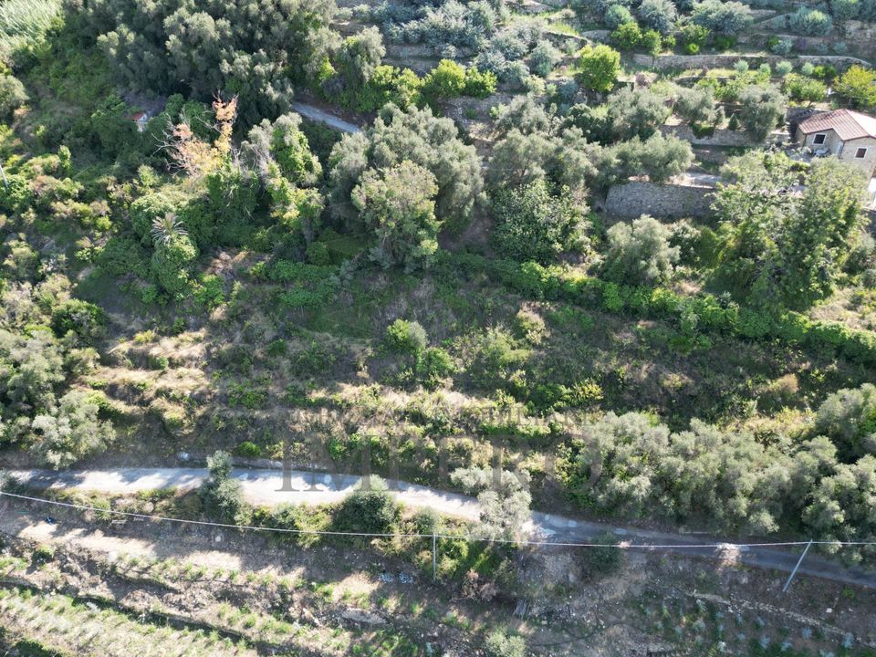 Erhvervsejendom i Bordighera, Imperia - foto 3