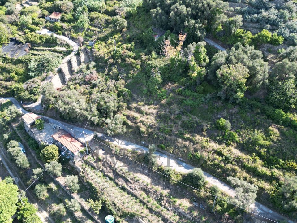 Erhvervsejendom i Bordighera, Imperia - foto 4