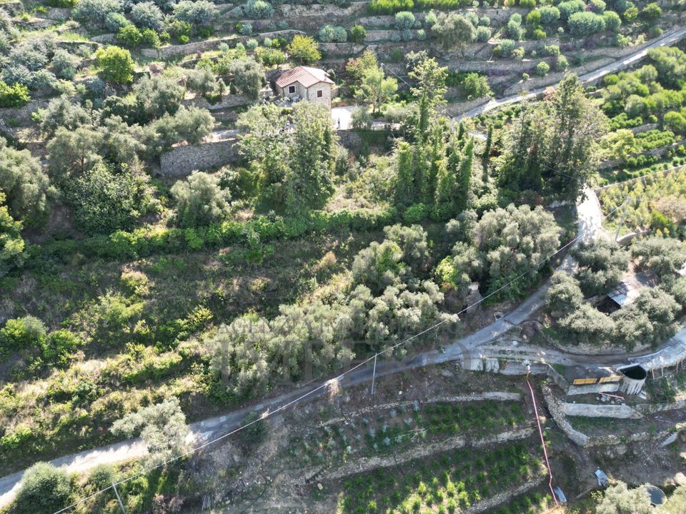Erhvervsejendom i Bordighera, Imperia - foto 5