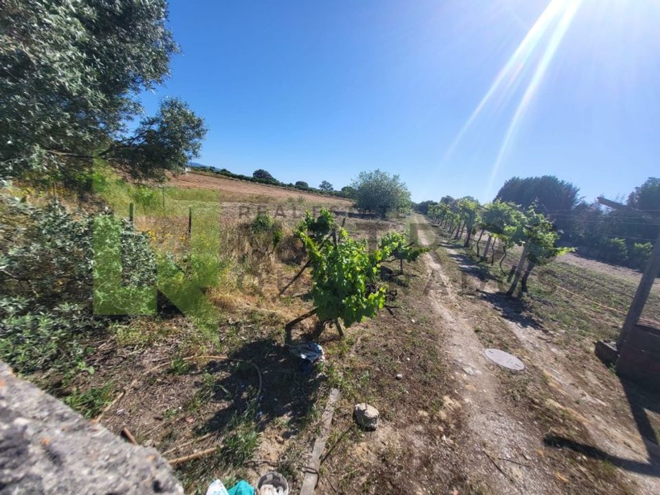 Erhvervsejendom i Brejos de Azeitao, Setubal - foto 3