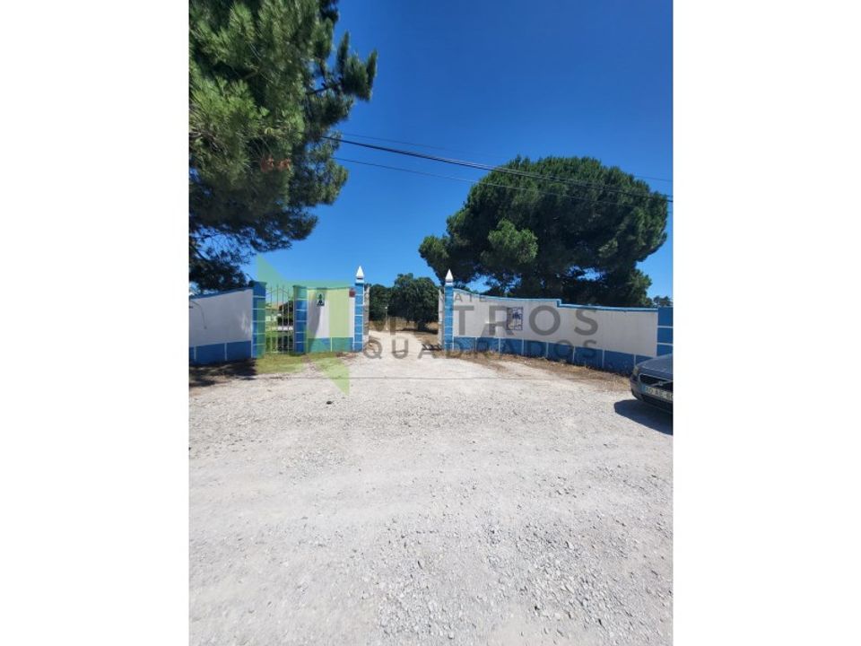 Farm i Brejos de Azeitao, Setubal - foto 3
