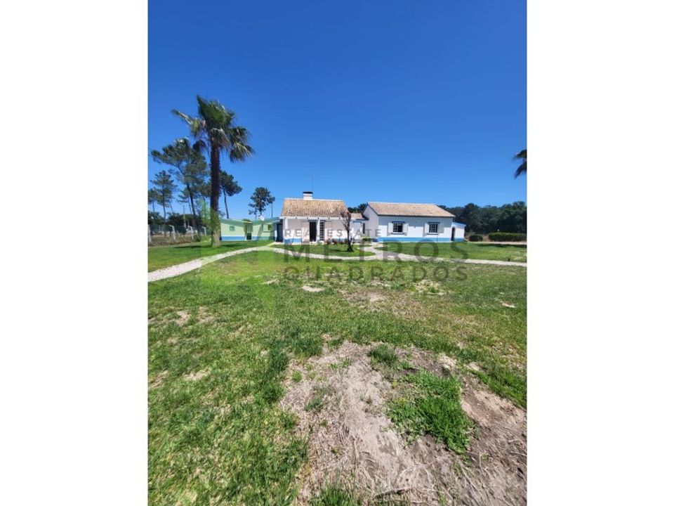 Farm i Brejos de Azeitao, Setubal - foto 4