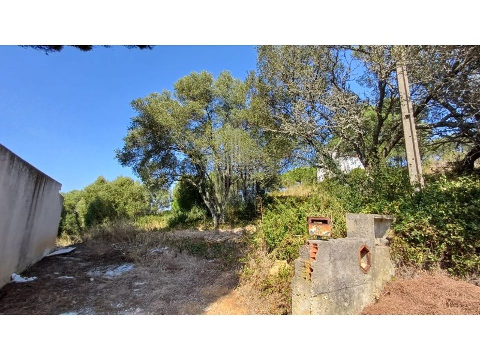 Villa i Alcabideche, Lisbon - foto 5