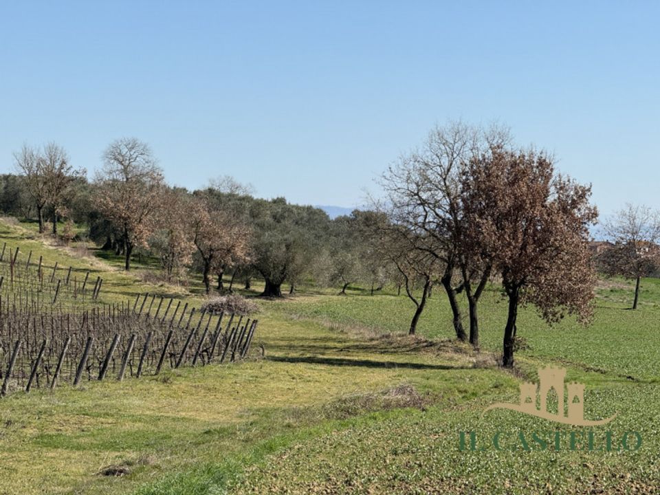 Hus på landet i Panicale, Perugia - foto 3