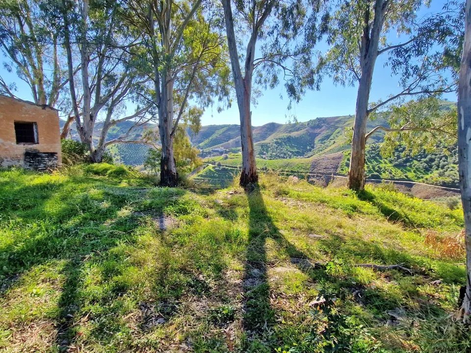 Herregård i Almachar, Malaga - bilde 3