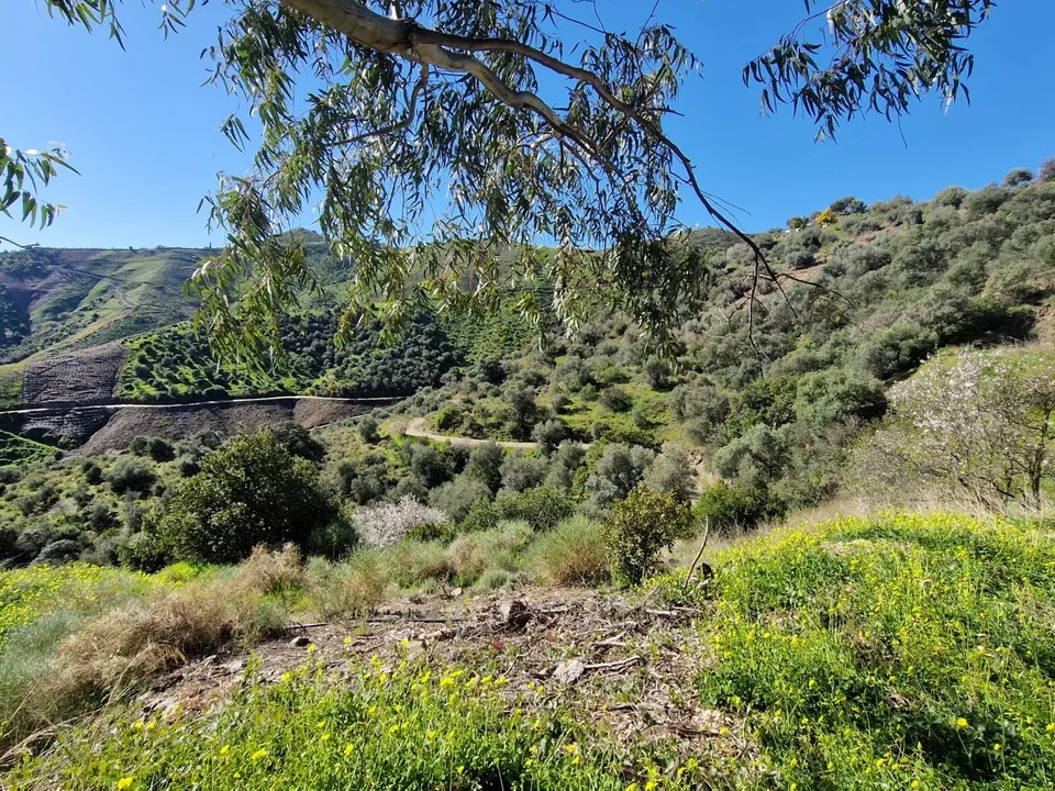 Herregård i Almachar, Malaga - bilde 4