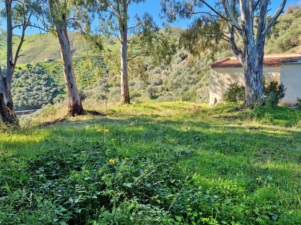 Herregård i Almachar, Malaga - bilde 5