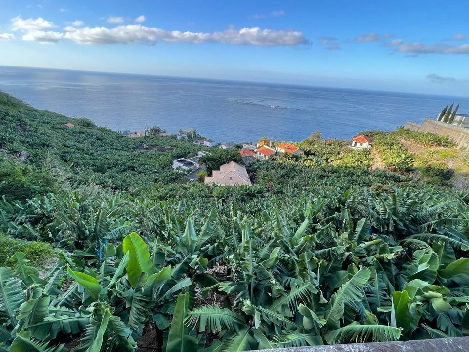 Helårsgrund i Arco da Calheta, Madeira - foto 1