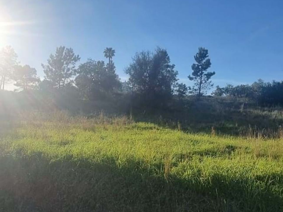 Helårsgrund i Lagoa, Faro - foto 2