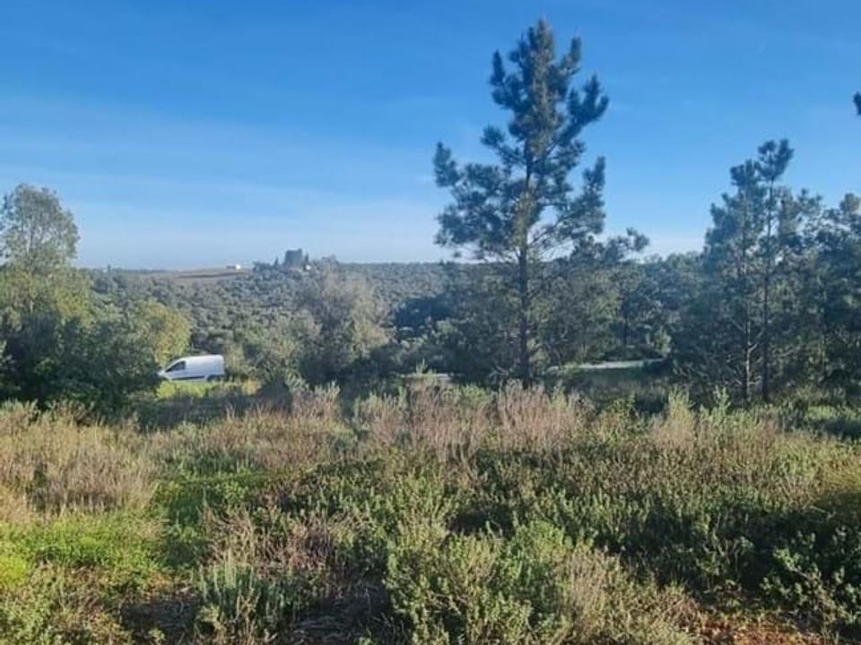 Helårsgrund i Lagoa, Faro - foto 4