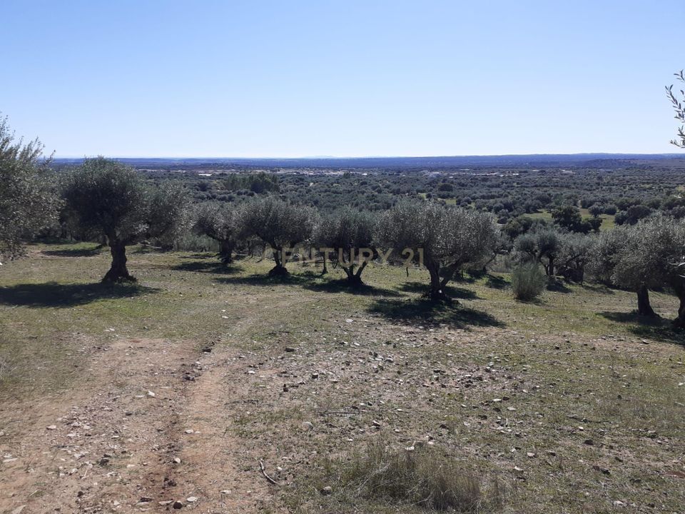 Helårsgrund i Reguengos de Monsaraz, Evora - foto 3