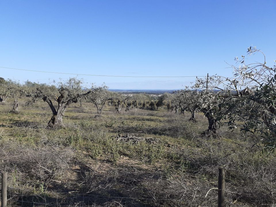 Helårsgrund i Reguengos de Monsaraz, Evora - foto 2