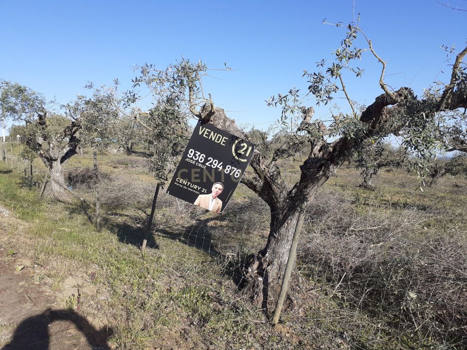 Helårsgrund i Reguengos de Monsaraz, Evora - foto 4