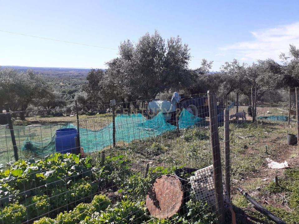 Helårsgrund i Reguengos de Monsaraz, Evora - foto 5