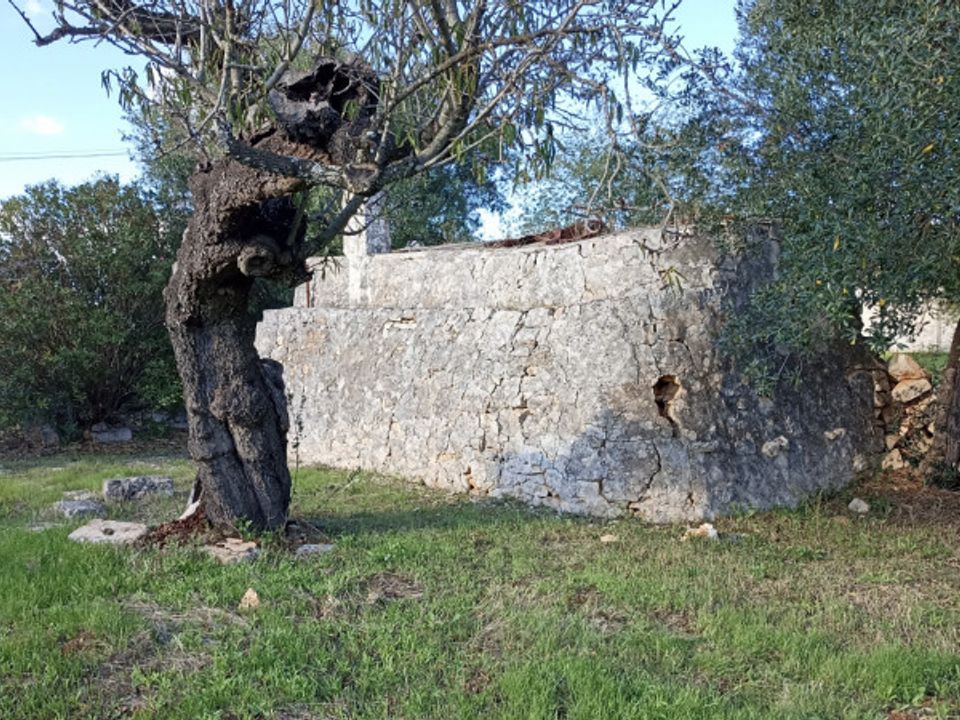 Landejendom i Ostuni, Brindisi - foto 4