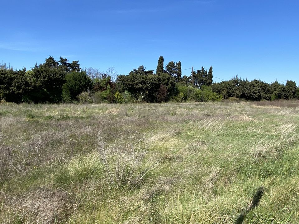 Helårsgrund i Cavaillon, Vaucluse - foto 1