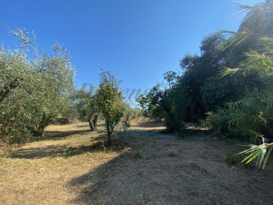 Byhus i Rosignano Marittimo, Livorno - foto 2