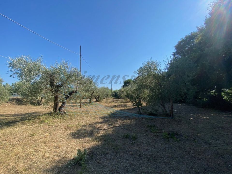 Byhus i Rosignano Marittimo, Livorno - foto 4
