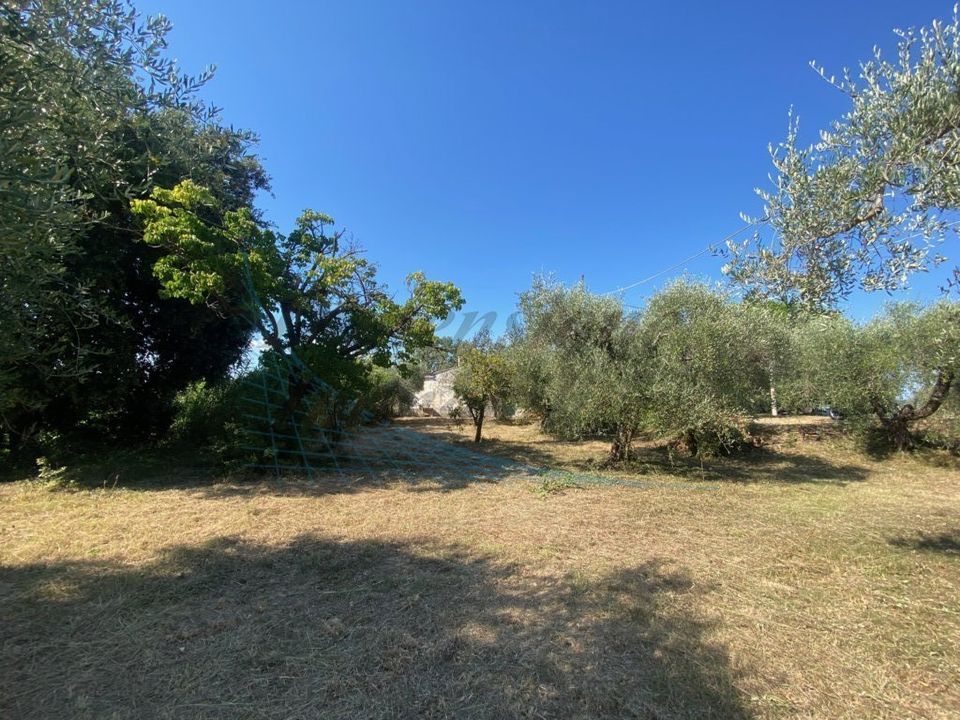 Byhus i Rosignano Marittimo, Livorno - foto 5