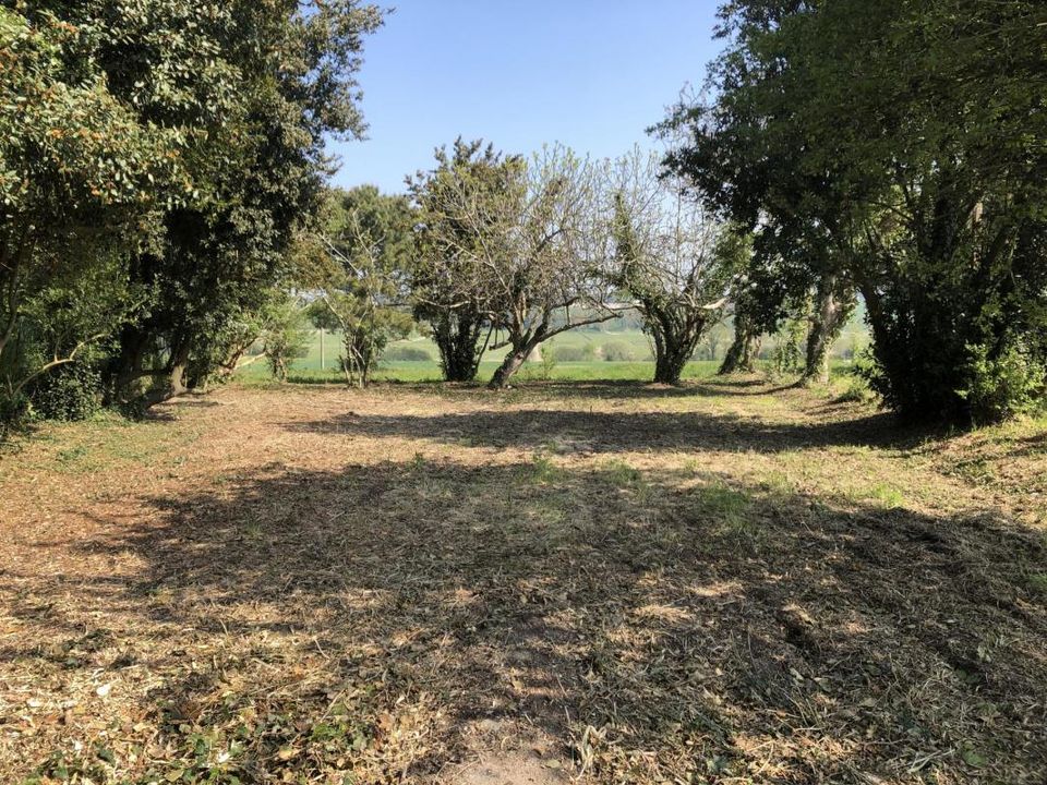 Tomt i Saint-Augustin, Charente-Maritime - bilde 2