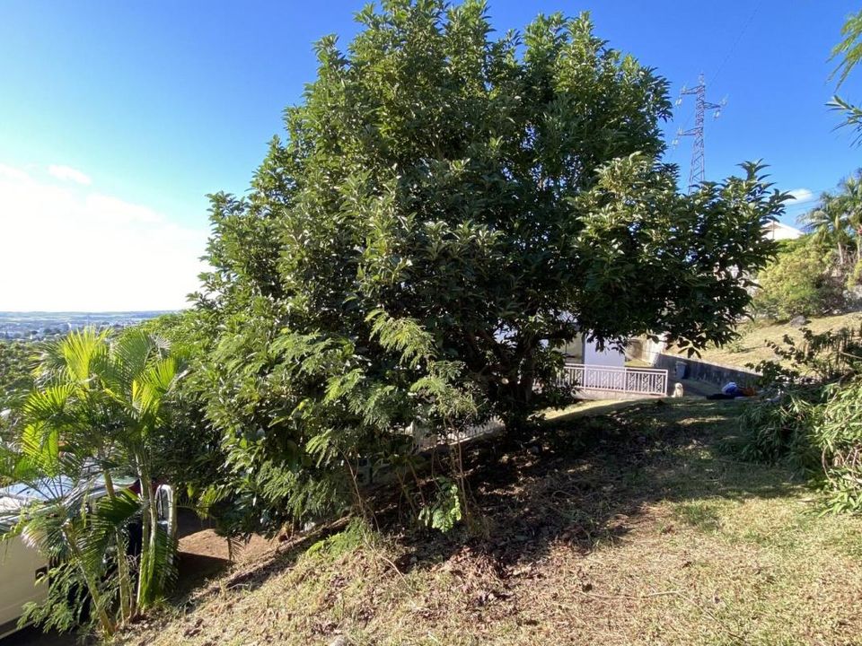 Tomt i Saint-Denis, La Reunion - bilde 2