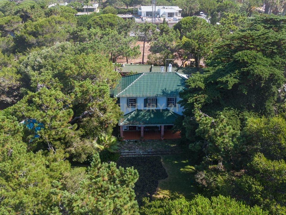 Villa i Cascais, Lisbon - foto 4