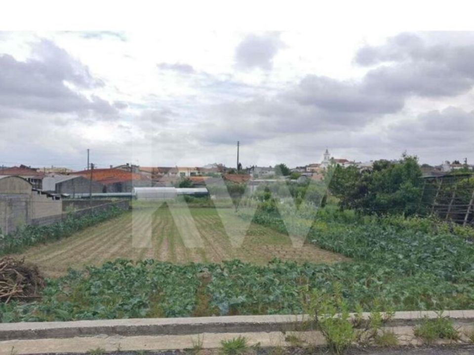 Helårsgrund i Fermentelos, Aveiro - foto 3