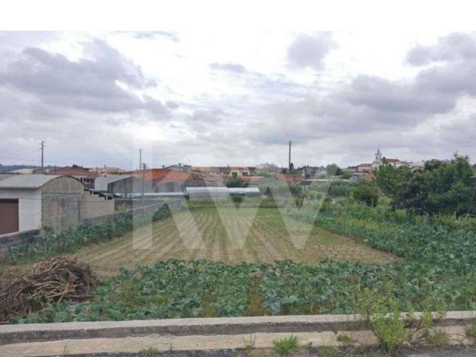 Helårsgrund i Fermentelos, Aveiro - foto 2