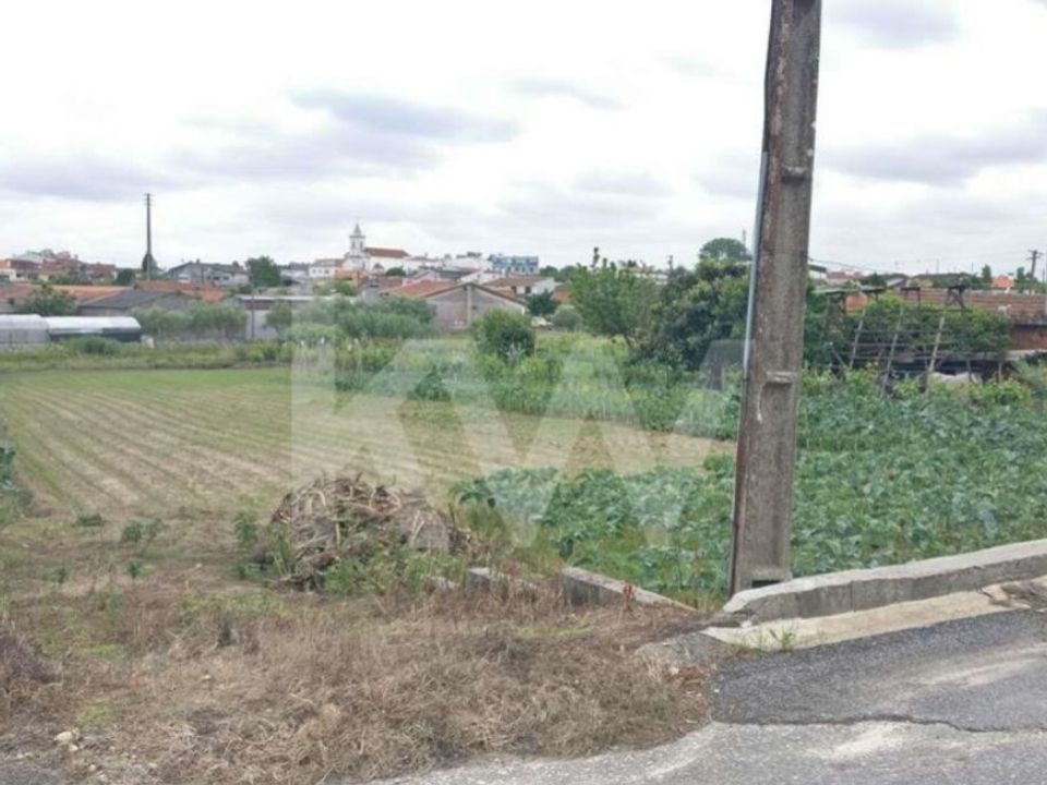 Helårsgrund i Fermentelos, Aveiro - foto 4