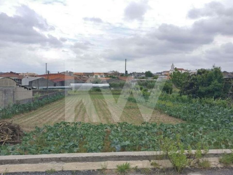 Helårsgrund i Fermentelos, Aveiro - foto 5