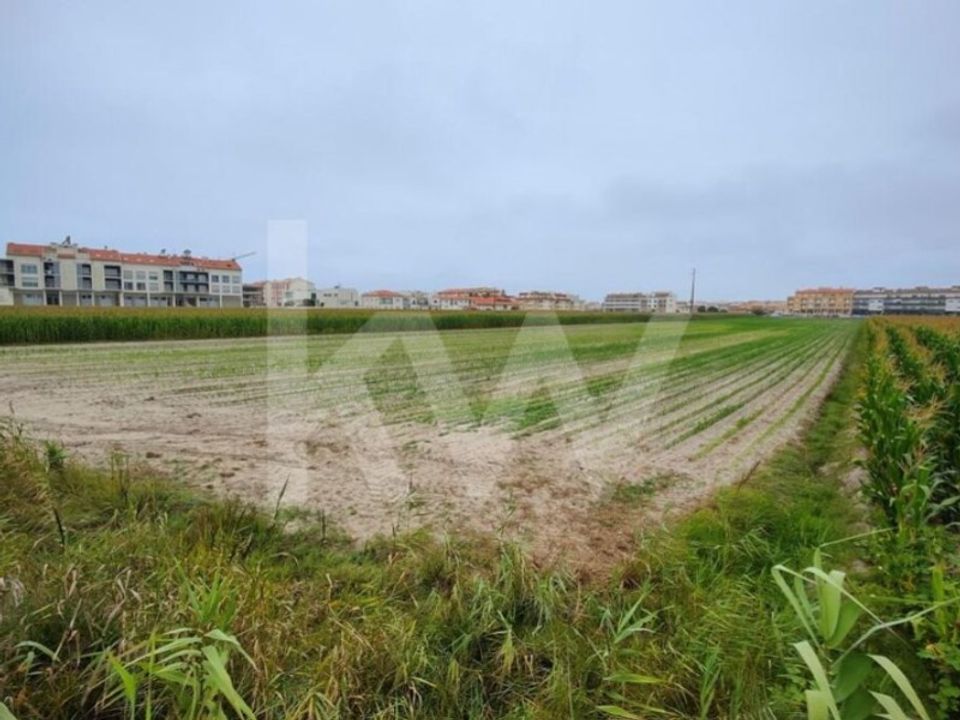 Helårsgrund i Vagos, Aveiro - foto 5