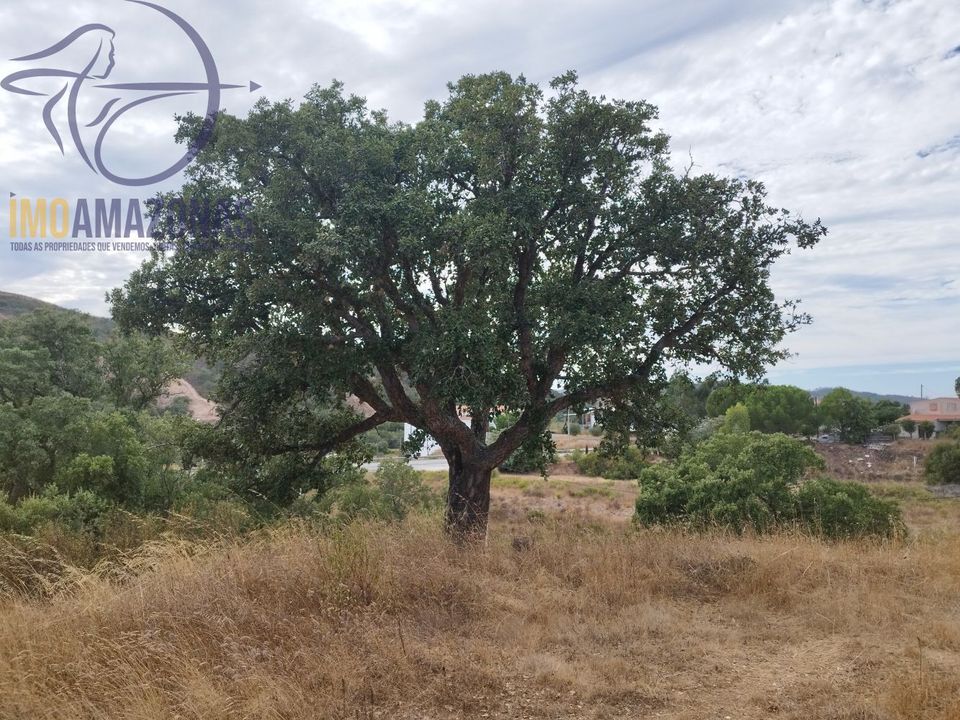 Villa i Silves, Faro - foto 4