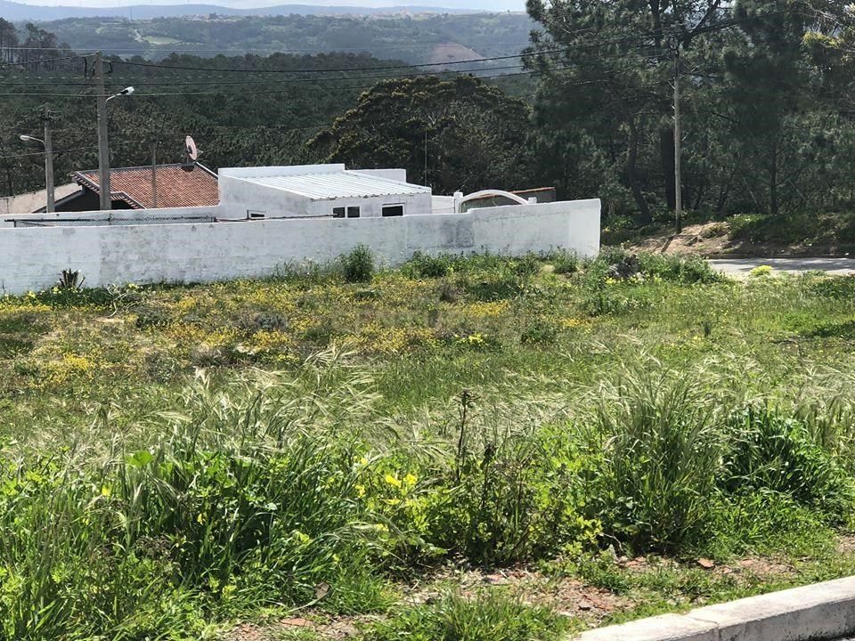 Helårsgrund i Nazare, Leiria - foto 4