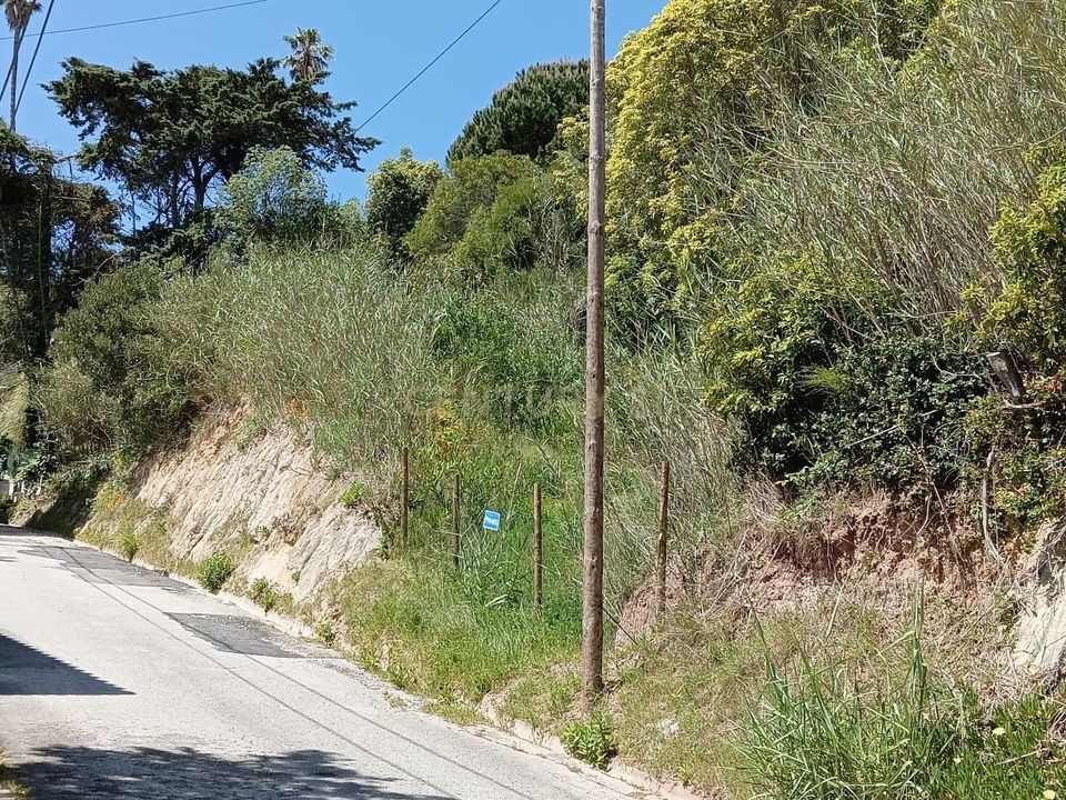 Tomt i Foz do Arelho, Leiria - bilde 3